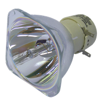 ACER DWX0714 Lampe uten lampemodul