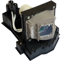 ACER EC.J5400.001 Lampe med lampemodul