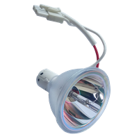 INFOCUS SP-LAMP-009 Lampe uten lampemodul