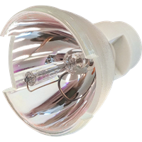 INFOCUS SP-LAMP-073 Lampe uten lampemodul