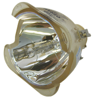 OPTOMA BL-FU250C (SP.81C01.001) Lampe uten lampemodul
