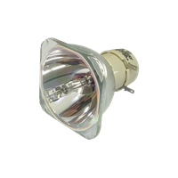 OPTOMA BL-FU260C (SP.72Y01GC01) Lampe uten lampemodul