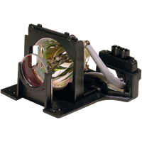 OPTOMA BL-FU250A (SP.86501.001) Lampe med lampemodul