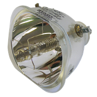 OPTOMA BL-FP120C (SP.86801.001) Lampe uten lampemodul