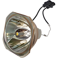 PANASONIC PT-DS100 Lampe uten lampemodul