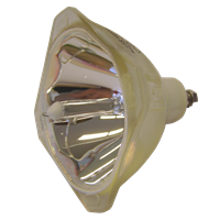 PHILIPS-UHP 120/100W 1.0 E19.8 Lampe uten lampemodul