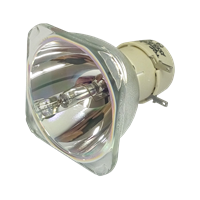 PHILIPS-UHP 160/185W 0.9 E20.9 Lampe uten lampemodul