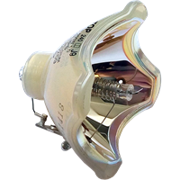 PHILIPS-UHP 200/150W 1.0 P19.5 Lampe uten lampemodul