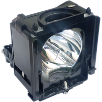 SAMSUNG HL-S4666WX/XAA Lampe med lampemodul
