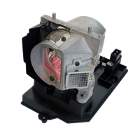 TRIUMPH BOARD PJ250-W Lampe med lampemodul